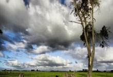 葛圣源竹盐玫瑰米醋